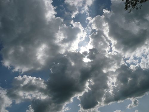P1030645