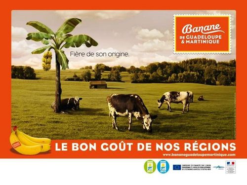 Campagne Banane 1