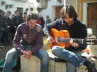 Guitarra-flamenca.jpg