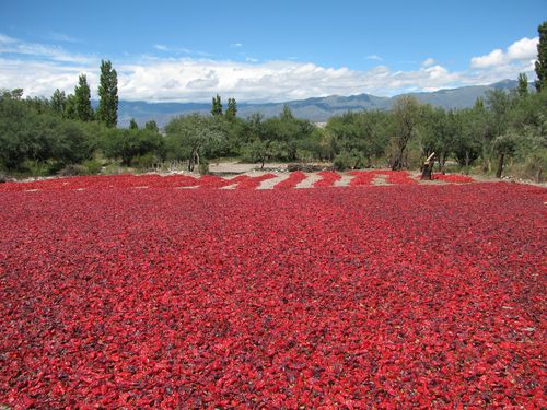 074 Santa Maria piments