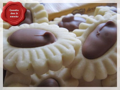 Sablé au chocolat praliné4