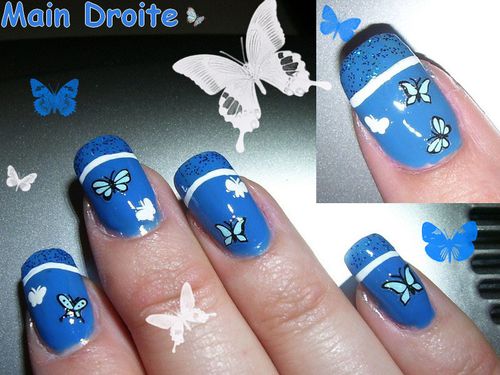 papillons bleu2