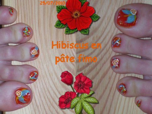 hibiscus fimo orteils