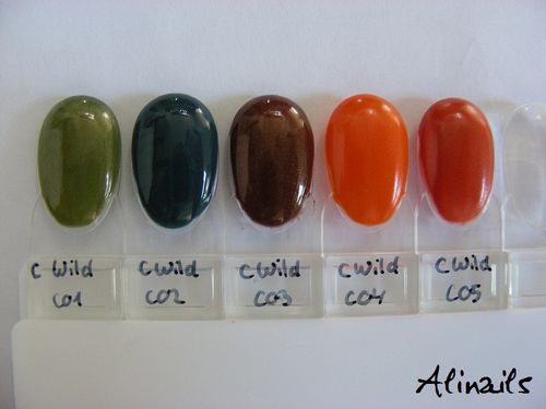 Catrice-edition-limitee-Upper-Wilde-side-swatches.jpg