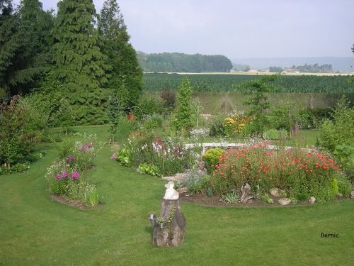 Jardin juillet 2009