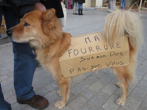 Manif-fourrure-janvier-2013-057.JPG