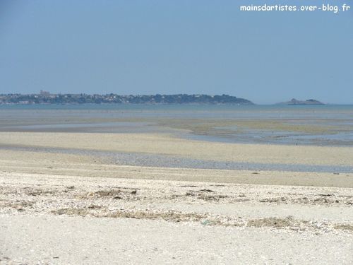DSC06195