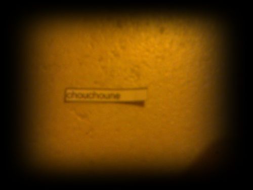 Photo013