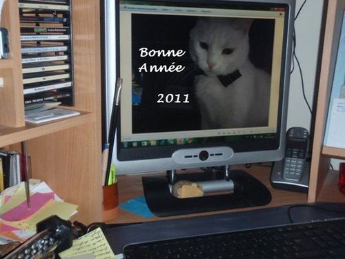 PC310004--1-.jpg