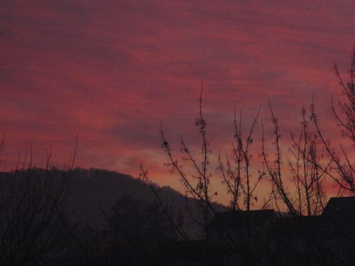 P1140043---Copie.JPG