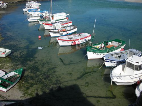 bretagne 2006 (776)