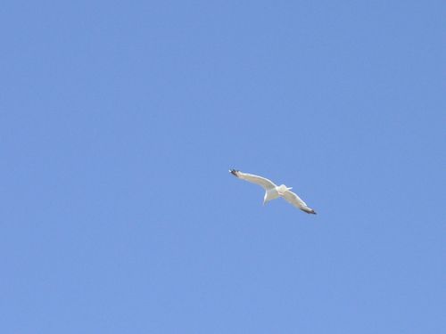 PICT0017