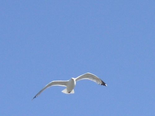 PICT0021