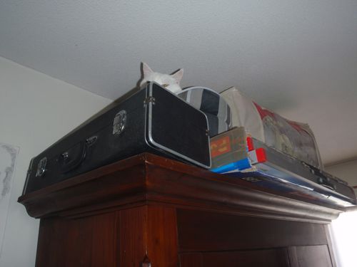 P5280030