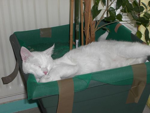un-apres-midi-de-sieste-006-copie-1.jpg