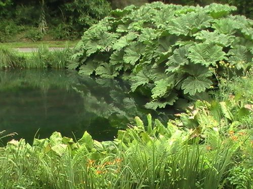 PIC_0064.JPG