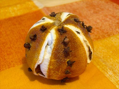 Orange-de-Noel-sechee.JPG