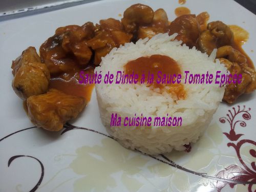 Sauté de dinde, sauce tomate épicée (2)