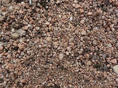 beaujolais chenas surface