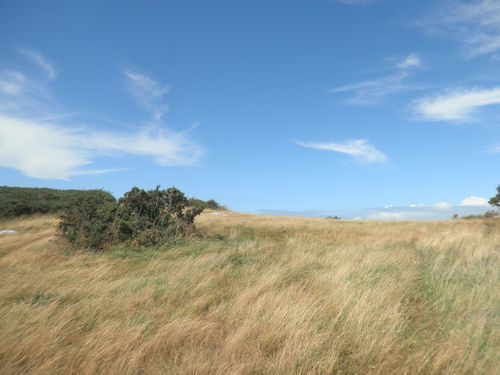 Chausey-094.JPG