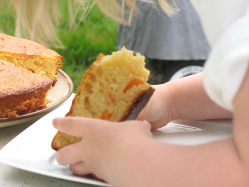 gateau-abricots1.JPG