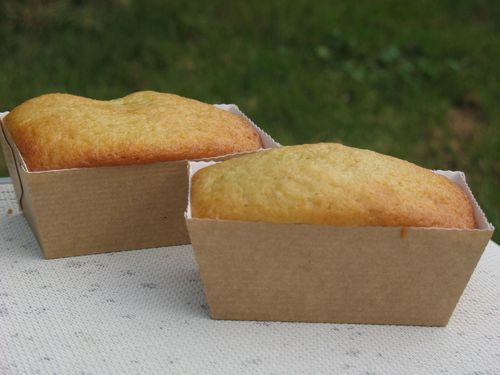 gateau-abricots3.JPG