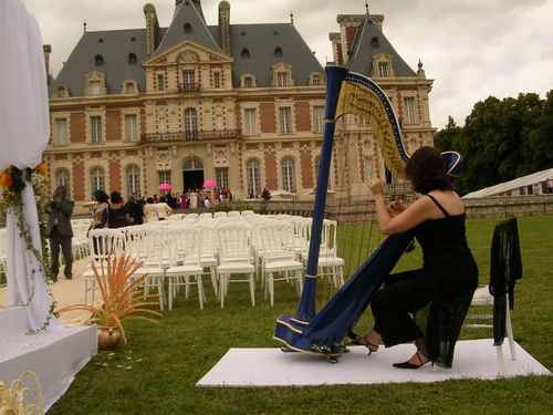 Wedding harpist in Paris France