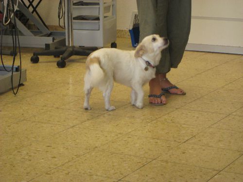 9.2011-004.jpg