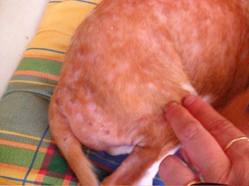 heridas.jpg