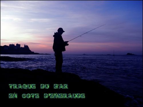Acheter mormychki pour la pêche dhiver il est bon marché