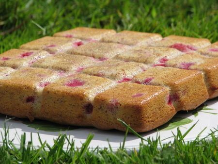 gateau fruits rougesprici