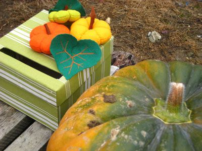 citrouille-017-copie.jpg
