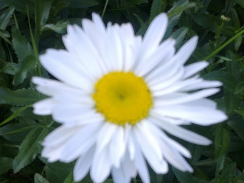 23062012723.jpg