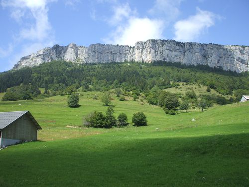 DSCF5250.JPG