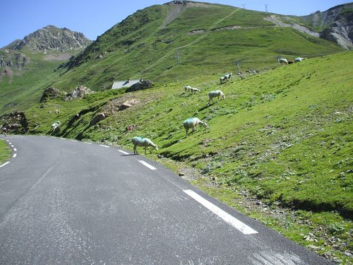DSCF4781.JPG