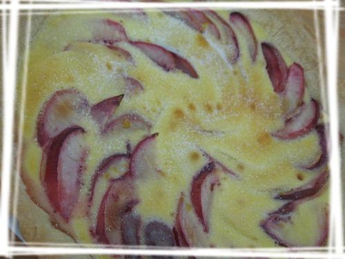 Recettes-de-tartes-sucrees-2115-copie-1.JPG