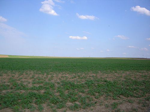 photo-5.jpg
