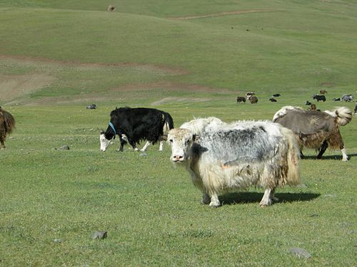 photo-11.jpg