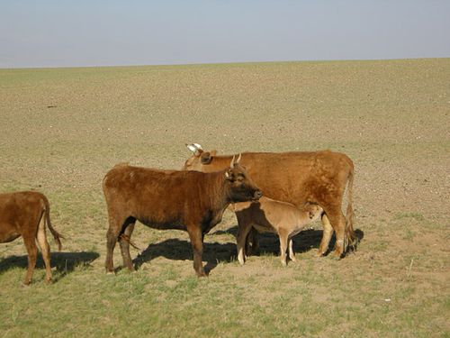 photo-4.jpg