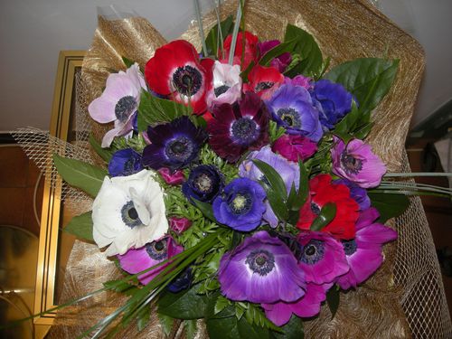 Bouquet-de-Dany---1-.JPG