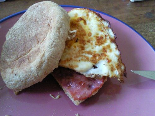 Photo0560