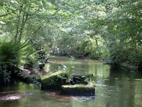 lieux de rencontres vosges