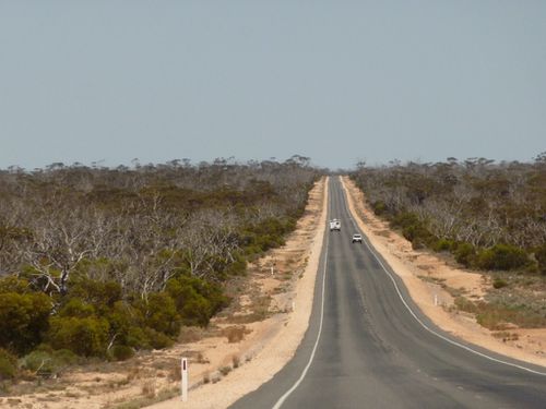 Road trip Nullarbor d'Espérance à Adelaïde (11)