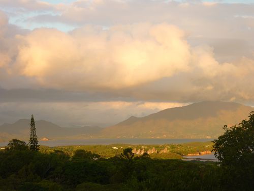 Nouméa parc zoologique (51)