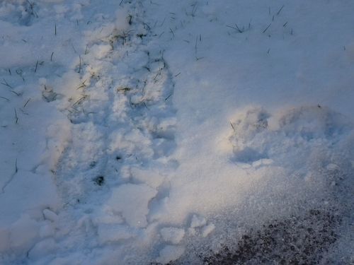 Images de printemps, d'automne étonnantes 220