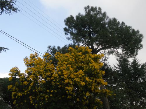 DSCN0115.JPG