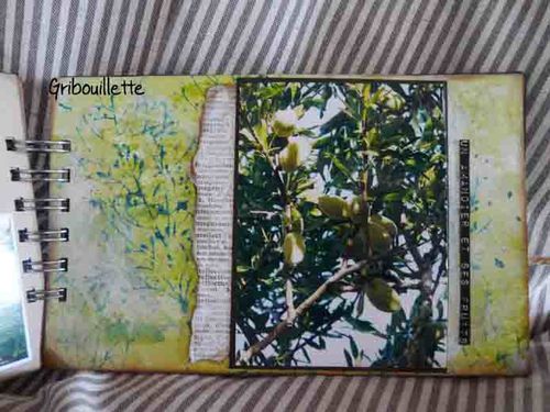 Couleurs Provence 17
