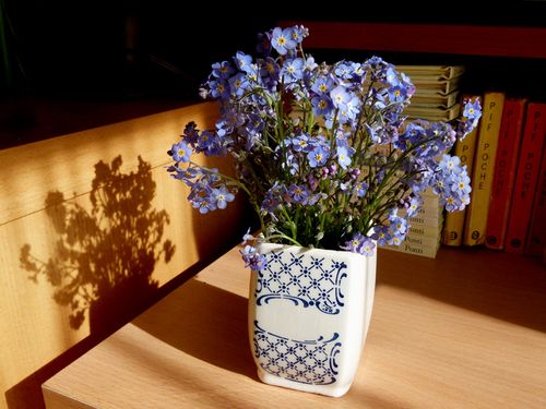 720-fleurs.jpg