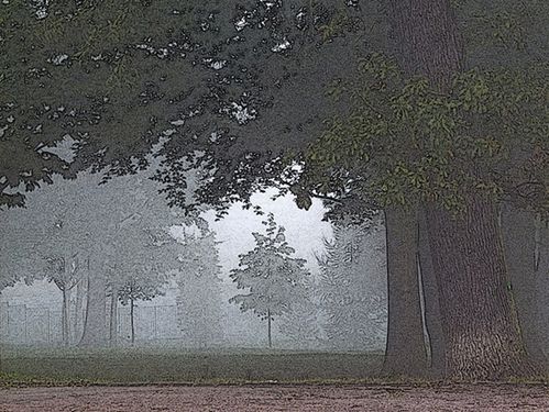 1041-brume-ok.jpg