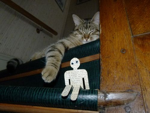 1492-chat-bonhomme.jpg
